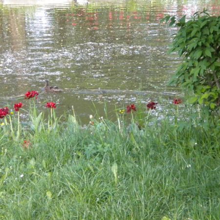 Parcul Strand-Pitesti